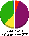 堂本工務店 貸借対照表 2012年5月期