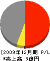平川工務店 損益計算書 2009年12月期
