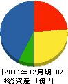 辻組 貸借対照表 2011年12月期