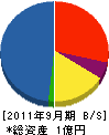 スペース電気研究所 貸借対照表 2011年9月期