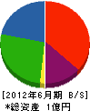宮井電機商会 貸借対照表 2012年6月期