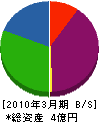 藤沼電気 貸借対照表 2010年3月期