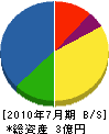 瀧川寺社建築 貸借対照表 2010年7月期