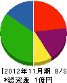川健土木 貸借対照表 2012年11月期