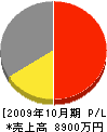 笹生塗装店 損益計算書 2009年10月期