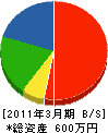 大塚建設 貸借対照表 2011年3月期