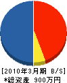 横山商店 貸借対照表 2010年3月期