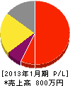 日本開発 損益計算書 2013年1月期