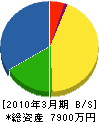 竹安工事 貸借対照表 2010年3月期