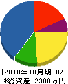 ヤマナ巧業 貸借対照表 2010年10月期