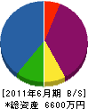 石崎工業 貸借対照表 2011年6月期