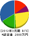 平塚綜合開発 貸借対照表 2012年3月期
