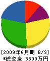 岩崎建設 貸借対照表 2009年6月期