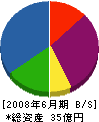 静岡シブヤ精機 貸借対照表 2008年6月期