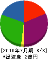 寺嶋建設 貸借対照表 2010年7月期