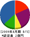 平山 貸借対照表 2009年4月期