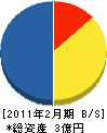 亀井電気 貸借対照表 2011年2月期
