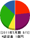 坂本工務店 貸借対照表 2011年5月期