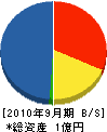 綾建設 貸借対照表 2010年9月期