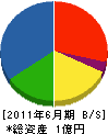 千代田開発 貸借対照表 2011年6月期