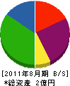 塚田工業 貸借対照表 2011年8月期