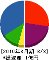 藤井電工 貸借対照表 2010年6月期