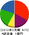 新日本実業 貸借対照表 2012年3月期