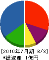 角田建設 貸借対照表 2010年7月期