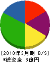 武田建設工業 貸借対照表 2010年3月期