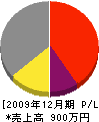津田板金工業 損益計算書 2009年12月期