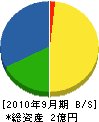 大川原建設 貸借対照表 2010年9月期