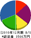 坂本建設 貸借対照表 2010年12月期