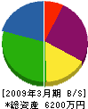 大晃電気工業 貸借対照表 2009年3月期