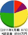小田嶋設備工業 貸借対照表 2011年6月期