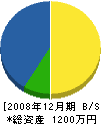 タケゾエ建装 貸借対照表 2008年12月期
