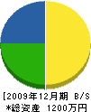 島崎組 貸借対照表 2009年12月期