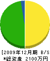 亀田電機商会 貸借対照表 2009年12月期