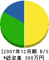 松平建設 貸借対照表 2007年12月期