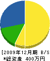 手島青宝園 貸借対照表 2009年12月期