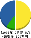 新井土木 貸借対照表 2009年12月期