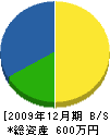 岡電工社 貸借対照表 2009年12月期