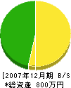 藤井建設 貸借対照表 2007年12月期