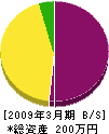 石川組 貸借対照表 2009年3月期