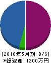 川辺設備 貸借対照表 2010年5月期