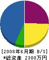 東日本ハウジング 貸借対照表 2008年6月期