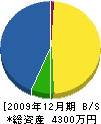 笹原工業 貸借対照表 2009年12月期