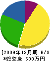 佐藤電気工事店 貸借対照表 2009年12月期