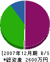 小笠原鉄工 貸借対照表 2007年12月期