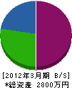 篠塚工務店 貸借対照表 2012年3月期