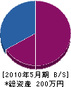 田中電気商会 貸借対照表 2010年5月期